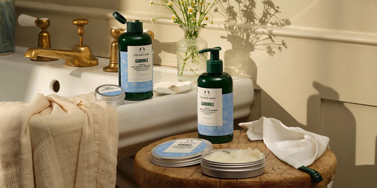 camomile range